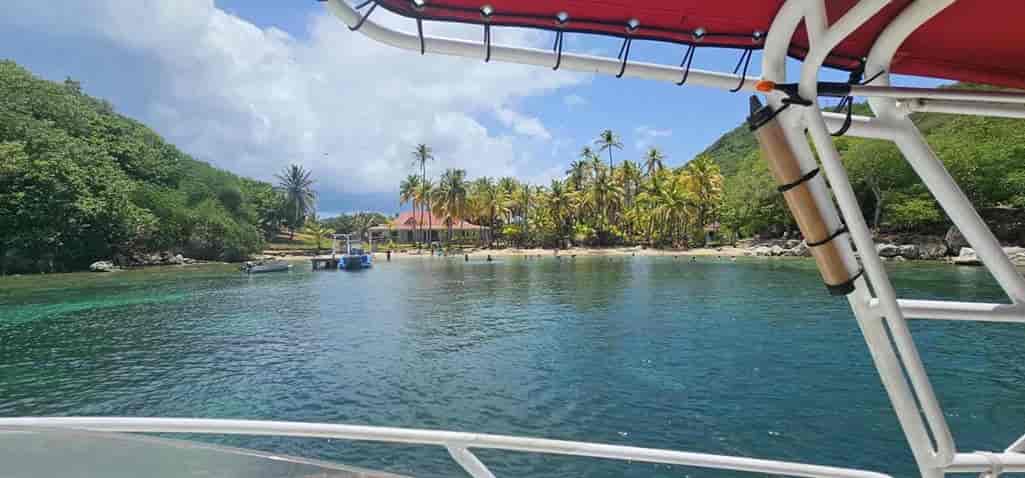 Accueil Gwadaventure excursion bateau Guadeloupe Mangrove lagon grand cul de sac marin